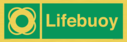 lifebuoy-with-symbol~
